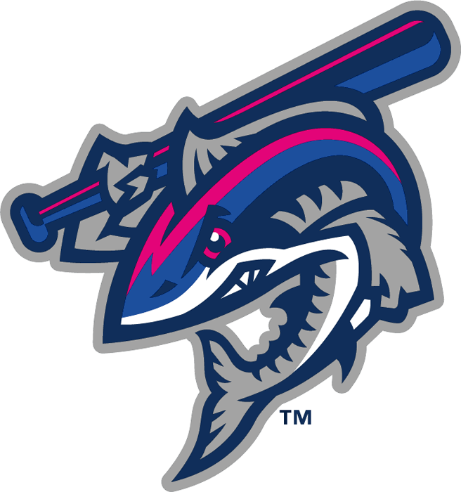 Pensacola Blue Wahoos 2012-Pres Secondary Logo iron on transfers for T-shirts